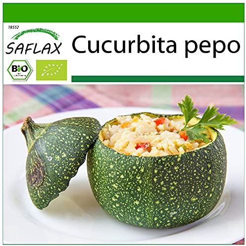 SAFLAX - BIO - Zucchina - Tondo di Nizza - 5 semi - Cucurbita pepo
