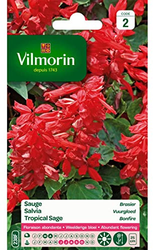 Vilmorin 5768242