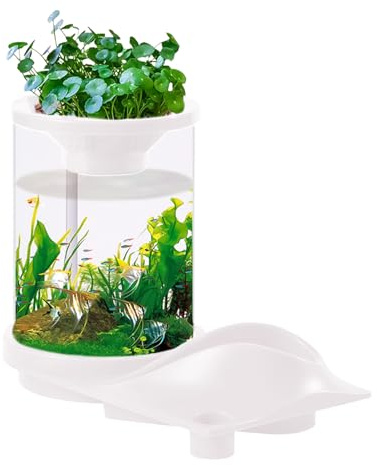 Aquarium de poisson - Aquarium Tropical | Réservoir de poisson translucide avec filtre | Filtre aquaponique autonome | Écosystème betta de bureau portable pour magasin, maison, luo