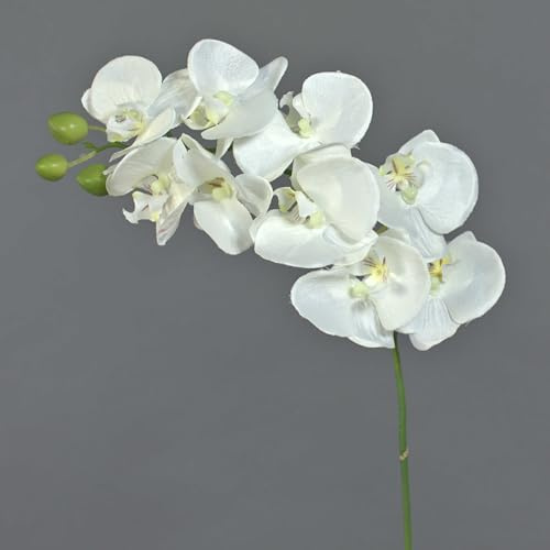 artplants.de Künstlicher Phalaenopsis Zweig Galina, 9 Blüten, Creme, 45cm - Kunstblumen - Deko Orchidee