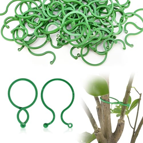 QOWUXHZ 150 Pcs Pflanzenclips Gesicherter Pflanzen Clip Pflanzenclips Pflanzenklammern Klein Zur Rankhilfe Und Befestigung Von Pflanzen Praktischer Pflanzenstützclip Für Tomate Gurken Grün