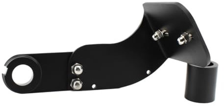 DINGYIG Für H&Arley Für Softail Für Fatboy Für Breakout Für Dyna Für Street Für Bob 2018-2022 Hinten Seite Montieren Kennzeichen Halter Halterung