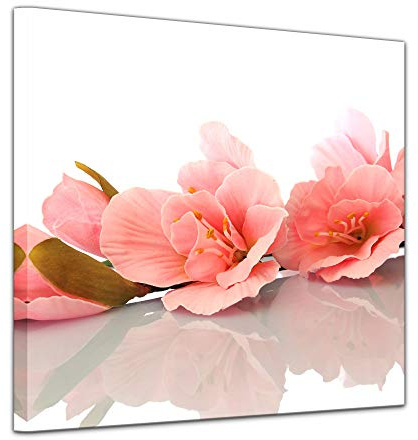 Bilderdepot24 Wandbild - Gladiole - Bild auf Leinwand 40 x 40 cm - Leinwandbilder Bilder als Leinwanddruck Geist & Seele Blume - orange Weiss
