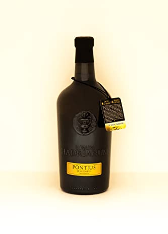 1 Bottle Italian PONTIUS 2021 Montonico Colli Aprutini IGT Macerato by Vinum Hadrianum | Color Ambra (Orange Wine) | Affinato in Anfora di Argilla - (Each Bottle 750 ml)