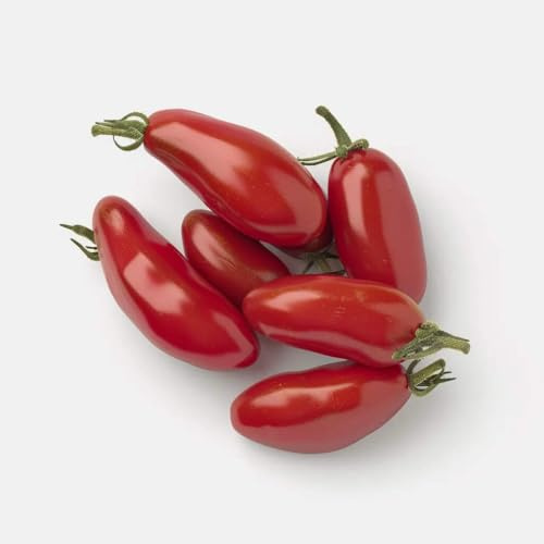 50 Tomatensamen San Marzano SemiSauvage Permaculture