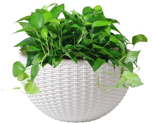 Maceta semicircular para colgar en la pared para interiores y exteriores, cesta colgante de ratán de imitación, soporte de anillo montado en la pared, decoración de jardín, maceta con agujero y