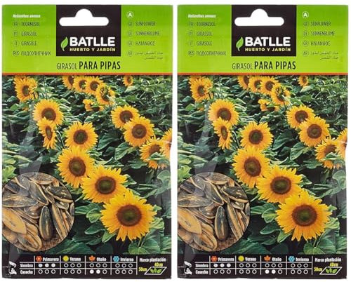 Graines aromatiques de Batlle - Tournesol (Seeds - 30cm) (Lot de 2)