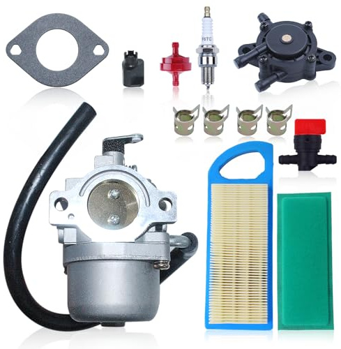 Haishine 590399 796077 Carburateur avec filtre à air pour Briggs & Stratton 215802 215807 215902 Tondeuse à Gazon Moteur Remplace 697153 491922 avec Filtre à Huile Bougie d'allumage ect