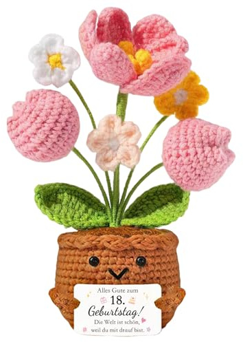 QUANMAITONG 18. Geburtstag Mädchen Junge，Glücksbringer Pocket Hug Deko 18 Geburtstag Mädchen Junge Geburtstagsgeschenk Für Freundin, Schwester,Klassenkamerad (18)