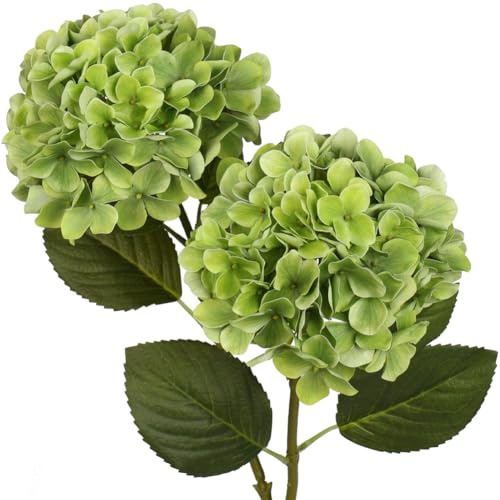 Briful Flores artificiales de hortensias artificiales como ramas artificiales de hortensias artificiales para ramos de boda nupciales, hogar, oficina, hotel, decoración de fiestas (verde, 2 unidades)