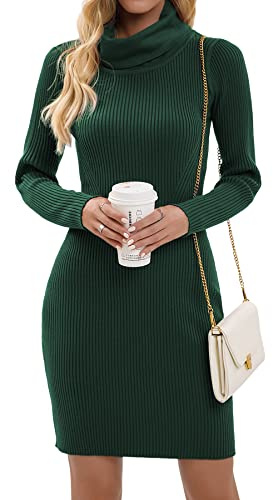 Imuedaen Strickkleid Damen Rollkragen Elegant Langarm Tunika Pullikleid Lang Strickpullover Minikleid Pullover für Herbst Winter (A Dunkelgrün, L)