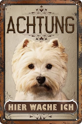 30 x 20 cm wetterfestes Blechschild, Warnhinweis, Torschild, Achtung, hier Wache ich! Warnung vor dem Hund (West Highland Terrier)