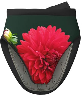 Dahlia Rouge, Mini Gants de Cuisine en Silicone, Gants de Cuisine antidérapants résistants à la Chaleur