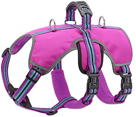 Didog Ausbruchsicheres Hundegeschirr, weich, atmungsaktiv,gepolstert und reflektierend, verstellbar, kein Ziehen, Hundegeschirr mit Hebegriff und doppelten Leinenclips, für mittelgroße und große Hunde