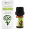Essences Bulgaria Aceite Esencial de Angélica Orgánico 5ml | Angelica archangelica | 100% Puro y Natural | Sin Diluir | Grado Terapéutico | Granja Familiar | Destilado al Vapor | Sin OMG | Vegano