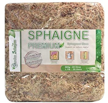 Sphagnum para Bonsái Chileno 1 Kg.