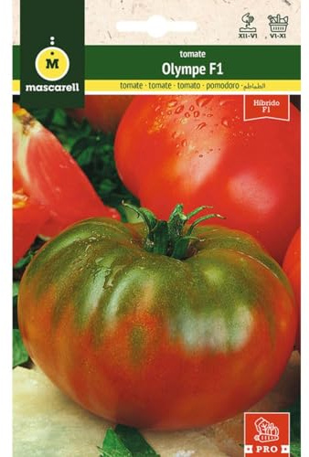 Mascarell Semillas, TOMATE, Semillas Huerto, TOMATE OLYMPE F1, Crea tu Propio Huerto Urbano y Cultivo en Casa, Plantas Hortícolas, 0,1 Gramos