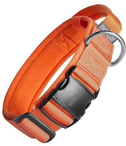 OneTigris Hunde Halsband mit Metallschnalle für Hunde (Orange, M)
