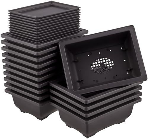 MUKSEUT 15 PCS 6.5 Inch Bonsai Training Pots with Drainage Trays, Plastic Bonsai Tree Growing Pots, Rectangle Planter Pot for Indoor, Office, Balcony, Yard, Garden