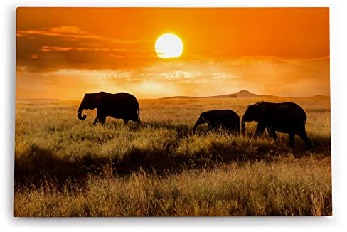 Paul Sinus Wandbild 60x40cm Dekorative Kunst Elefanten Elefantenherde Afrika Natur Landschaft Sonne