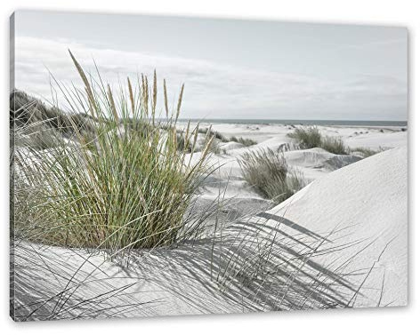 Pixxprint Grasige Dünenlandschaft am Meer B&W Detail, Größe: 100x70cm, Leinwandbild, fertig gespannt, Wandbild, Dekoration, Kunstdruck, kein Poster