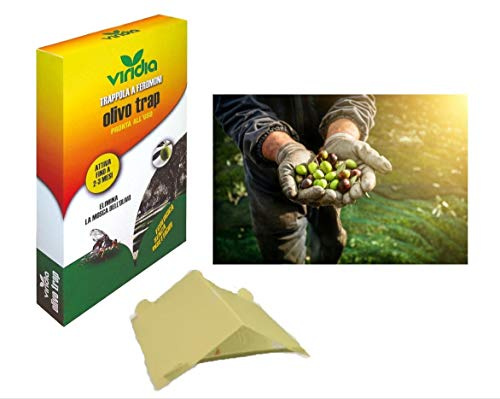 Viridia Biologische Fliegenfalle Insektenfalle selbstklebend Olivenfliege Obst Pflanzen Gemüsegarten Wespenfalle Bremsenfalle Fruchtfliegenfalle, Olivenfliegenfalle