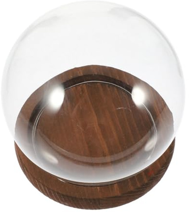 MOTHNUR Cloche en Verre Sphérique Transparente avec Socle en Bois Dôme Décoratif Anti-Poussière pour Fleurs Conservées Micro-Paysage et Terrarium Décoration Maison et Jardin Présent