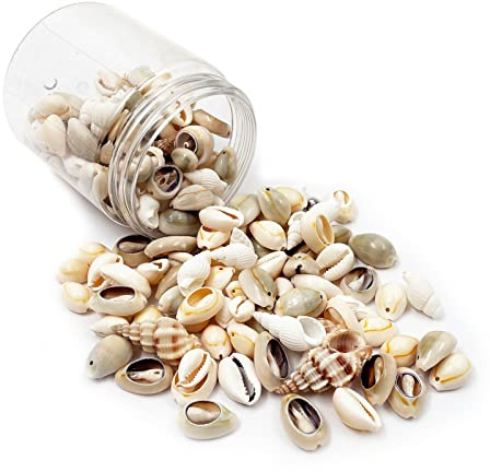 LYFJXX Gemischte Muscheln Ozean Strand Spirale Muscheln Basteln Charms für Heimdekorationen,Hochzeitsdekoration,DIY-Handwerk,Aquarium und Vasenfüller(150–200 Stück gemischte Muscheln)
