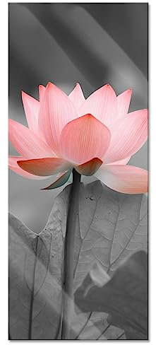 Pixxprint Glasbild Panorama, Wandbild aus Echtglas, wunderschöner Lotus, 100x40 cm, inkl. Aufhängung und Abstandshalter