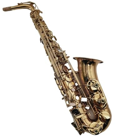 Saxophon Musikinstrumente Professionelle Eb-Melodie Altsaxophon Es-Flat Musikinstrument Messing Goldlack Saxophon Mit Koffer Und Zubehör(C)