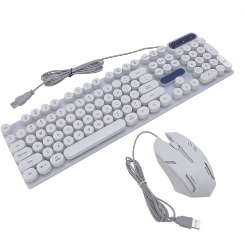 Clavier de Machine à écrire RVB Filaire et Combo de Souris, Clavier USB Keycap Round (Ensemble Punk Blanc d500)