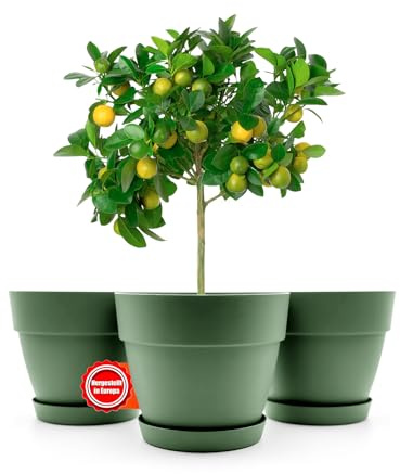 BigDean 3 Stück Blumentopf mit Untersetzer rund ø47 cm in Olivgrün