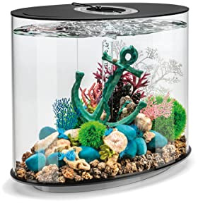biOrb LOOP 30 LED Aquarium, 30 Liter, schwarz - Aquarien-Komplett-Set mit patentiertem Filtersystem, Lichteinheit, Acryl-Becken in elliptischer Form