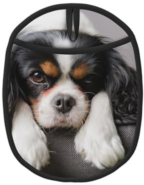 Chien Cavalier King Charles Spaniel, Maniques, maniques résistantes à la Chaleur, maniques de Cuisine en Silicone antidérapantes