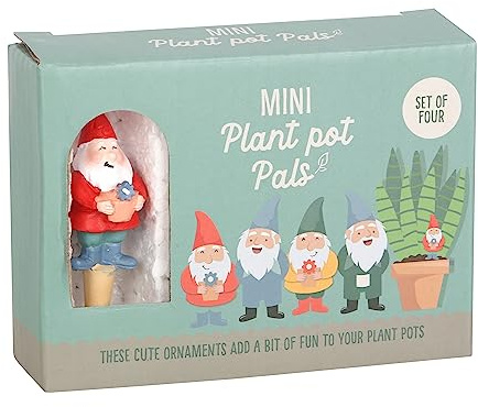 Something Different Wholesale Lot de 4 mini pots de fleurs en forme de nain avec chapeau de sorcière – Plat de fête – Support à chips
