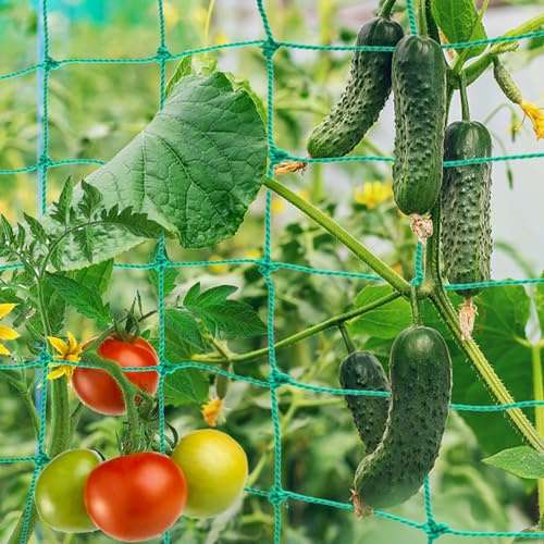 Giugio Premium Ranknetz 5m x 2m, Premium Ranknetz mit großer Maschenweite für den perfekten Wachstum von Tomaten, Gurken und Kletterpflanzen Das Optimale Rankhilfe Netz für Garten und Gewächshaus