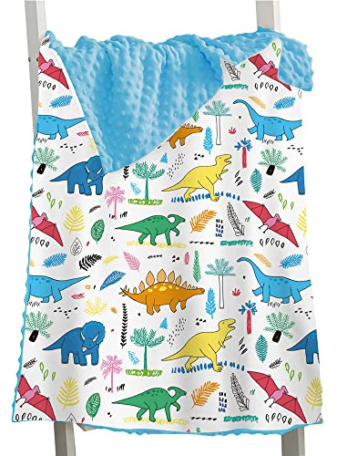 Hixingo Coperta per Neonati Minky Dots, Stampa Dinosauro Bifacciale Multifunzionale Morbida Accogliente Copertina per Bambino e Bambina, Copertura per Allattamento (pterosauro Blu,73x102cm)
