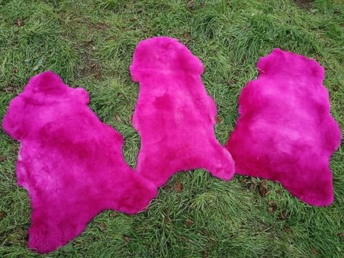 Provellus Auténtica lana de oveja merina alemana, color fucsia y rosa, talla L – XXL (130 – 140 cm x 70 – 90 cm)