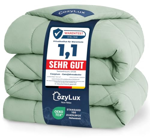 CozyLux Bettdecke 200x200cm Salbeigrün für 4 Jahreszeiten | Bettdecke ohne Bezug 2x2m Mikrofaser, Füllung 300 g/m², OEKO-TEX 100, Steppdecke mit 4 Eckschlaufen, Maschinenwaschbar