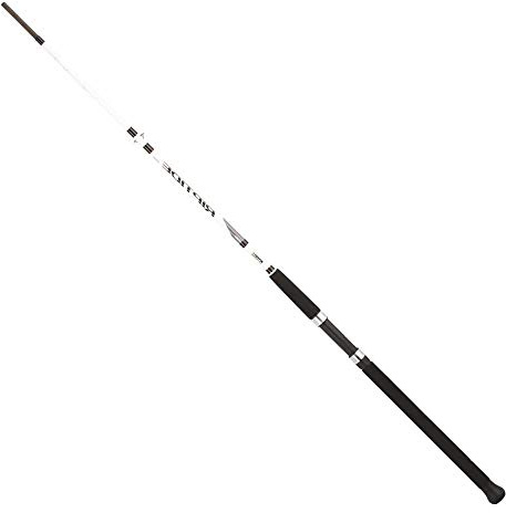Mitchell 1486184 - Angelrute Riptide Rz 212 50/150 Golden