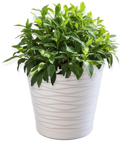 KADAX Pot de Fleurs en Plastique avec Soucoupe Incorporée, Pot de Plantes avec Conception Raffinée pour la Décoration d'Intérieur (30 cm, Ecru)