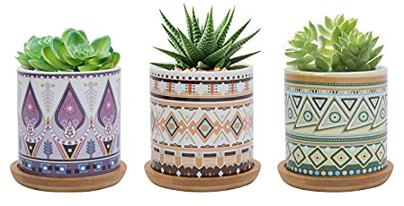FORAGIFT Maceta suculenta de 7,5 cm, maceta de cerámica con patrón colorido para plantas de cactus, macetas pequeñas para plantas de interior y exterior con bandeja de bambú, e ideal para decoración