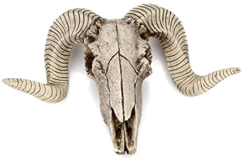 YOWOY Skull Sheep Head Wall Sculpture,Resin Ram Decorations,Ram Sheep Skull Decor - Animal Skeleton Sculpture Hanging Art Collectible (A)