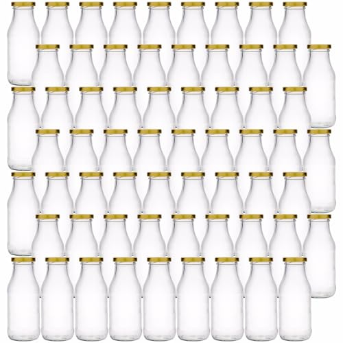 Flaschenland 56 Glasflaschen 250 ml inkl. Twist-Off-Deckel und breiter Öffnung, Saftflaschen, Ideal zum Abfüllen heißer und kalter Säfte, Smoothie, Milch, Tee, Dressing oder Soßen | Made in Germany