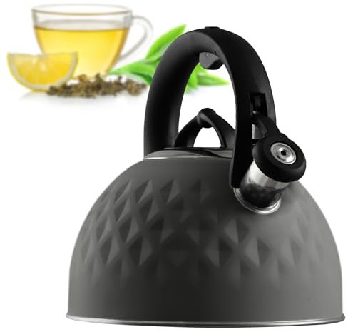 KADAX Bollitore in acciaio inox, bollitore smaltato con manico, bollitore per tè, bollitore retrò per tutti i tipi di fornelli, bollitore per tè, bollitore a fischio, bollitore a pipa (grigio 2,5 L)
