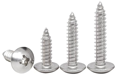 HAISHANG 20 Pièces M4x40mm Vis à Bois Acier Inoxydable Tête Ronde – Vis Autotaraudeuses Cruciformes, Tête de Champignon, Fixations