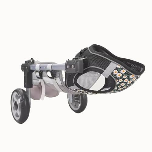 Chariot de transport léger à deux roues pour chiens et chats, fauteuils roulants réglables pour animaux handicapés de petite et grande taille, solution de rééducation idéale pour chiens de t