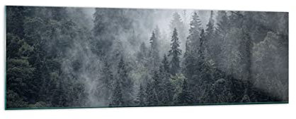 Panorama Bilder auf Glas 160x50cm Glasbild Wald Baum Natur Groß XXL Wanddeko Bild im Glas Schlafzimmer Küche Wandbilder Dekoration Wohnzimmer Modern Wall Decor Wand Kunstdruck Art GAB160x50-4074