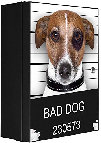 banjado Medizinschrank abschliessbar mit Motiv Bad Dog Jack Russel 35x46x15cm - großer Arzneischrank für die Hausapotheke - Medikamentenschrank aus Metall zur Medikamenten Aufbewahrung