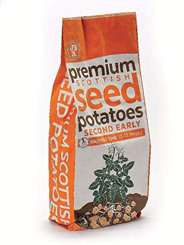 Jamieson Brothers 20kg Wilja Seed Potatoes – JBA Second Early Grow Your Own Spuds – for Boiling, Roasting, Chips & Mashing – Scottish-Grown & Ready to Plant in Pots, Gardens & Allotments